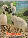 Surpresa - Pantanal